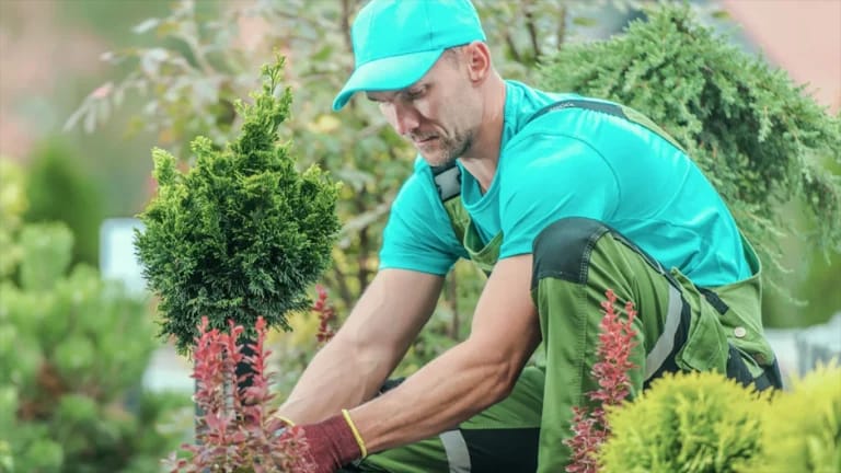 WhatsApp Image 2025-12-14 at 07.59.01 (1).jpeg